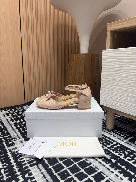 Dior Shoe 